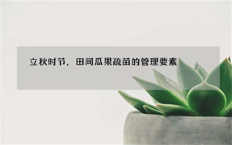 立秋时节，田间瓜果疏苗的管理要素