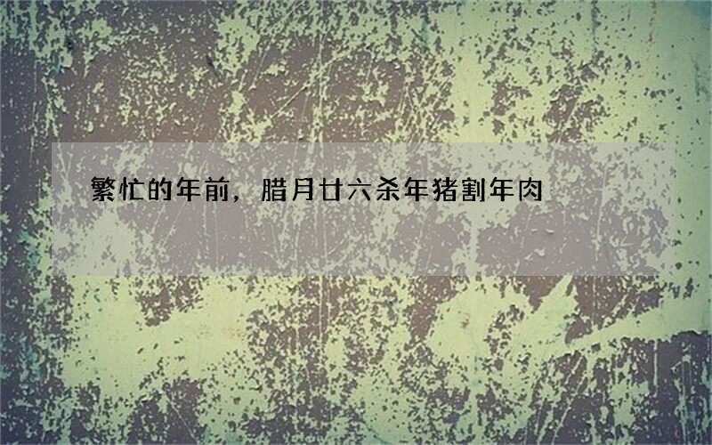 繁忙的年前，腊月廿六杀年猪割年肉