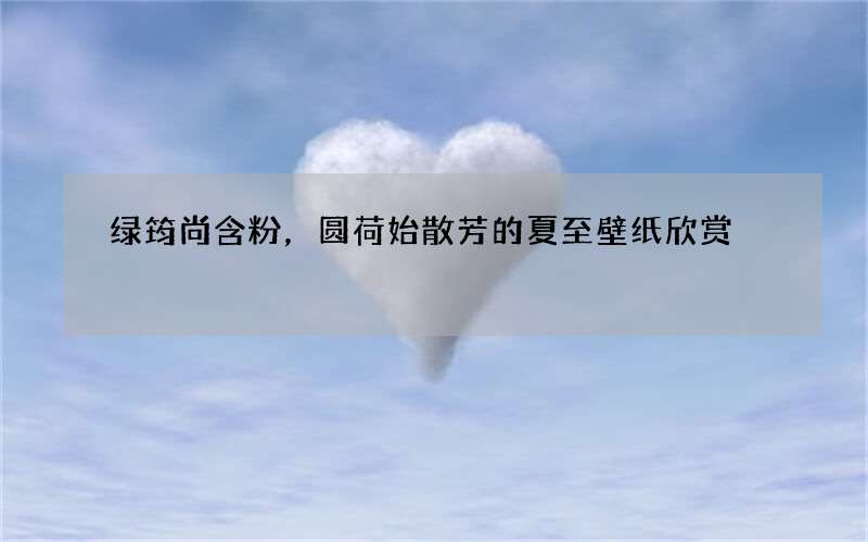 绿筠尚含粉，圆荷始散芳的夏至壁纸欣赏