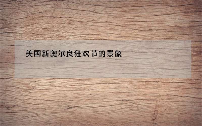 美国新奥尔良狂欢节的景象