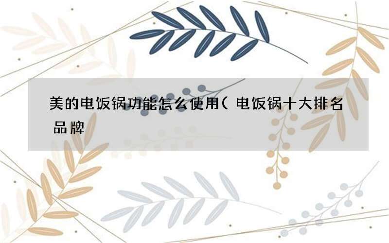 电饭锅十大排名品牌 美的电饭锅功能怎么使用