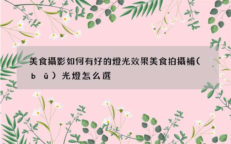 美食攝影如何有好的燈光效果 美食拍攝補(bǔ)光燈怎么選