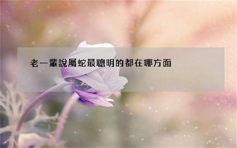 老一輩說屬蛇最聰明的都在哪方面