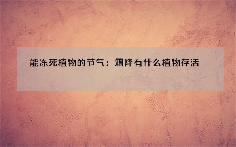 能冻死植物的节气：霜降有什么植物存活