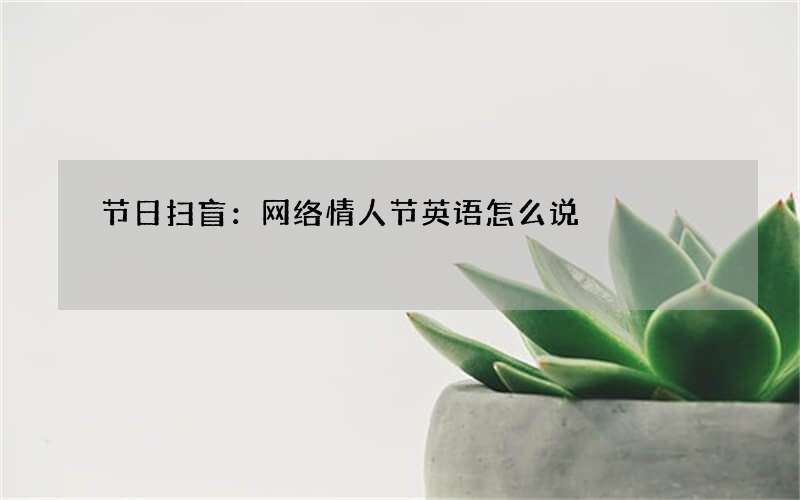 节日扫盲：网络情人节英语怎么说