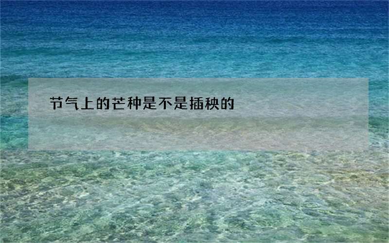 节气上的芒种是不是插秧的