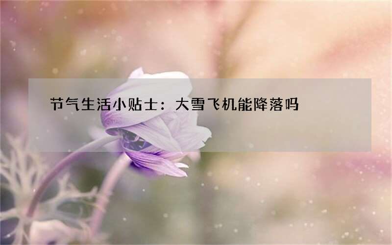节气生活小贴士：大雪飞机能降落吗
