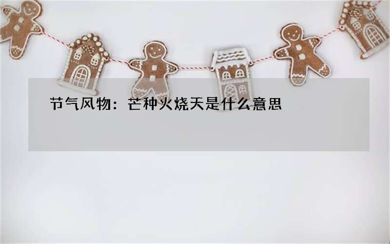 节气风物：芒种火烧天是什么意思