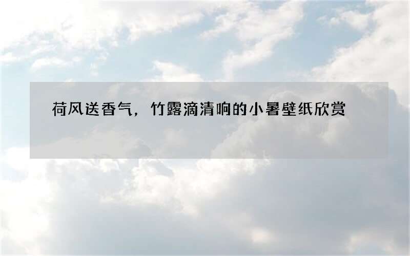 荷风送香气，竹露滴清响的小暑壁纸欣赏