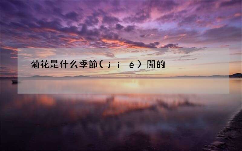 菊花是什么季節(jié)開的