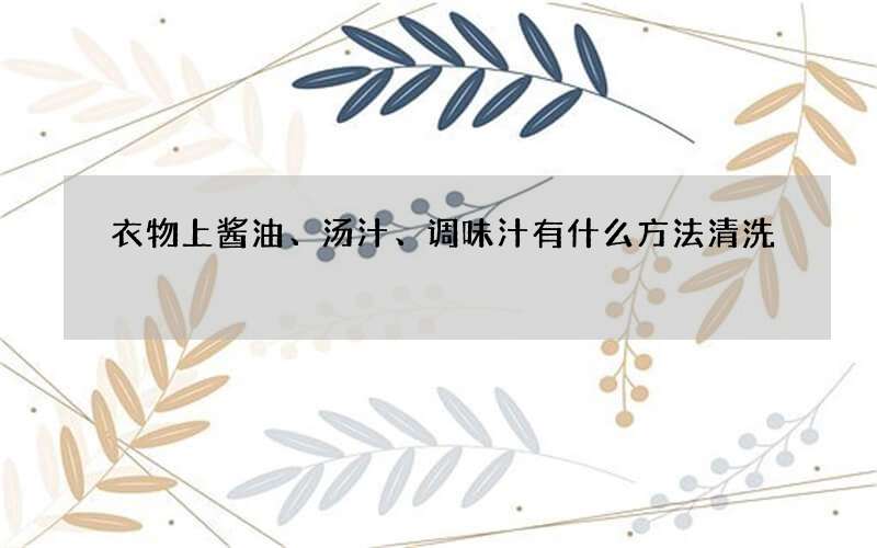 衣物上酱油、汤汁、调味汁有什么方法清洗