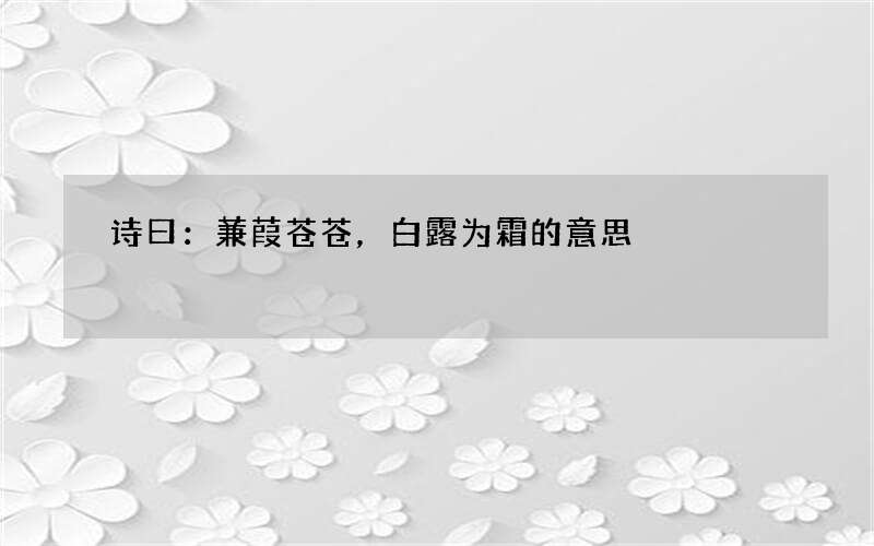 诗曰：蒹葭苍苍，白露为霜的意思
