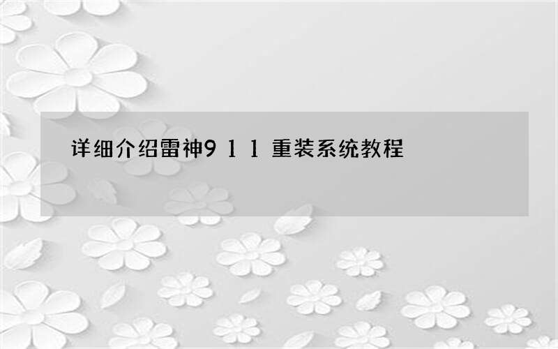 详细介绍雷神911重装系统教程