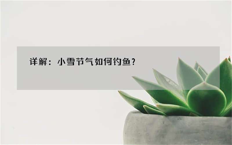 详解：小雪节气如何钓鱼？