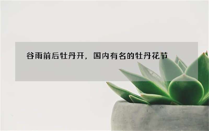 谷雨前后牡丹开，国内有名的牡丹花节
