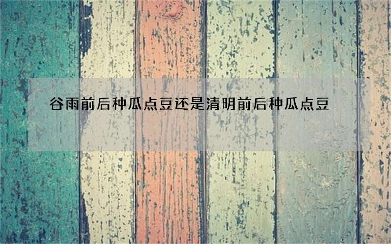 谷雨前后种瓜点豆还是清明前后种瓜点豆