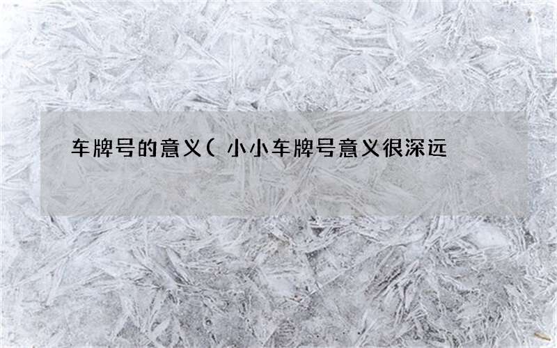 小小车牌号意义很深远 车牌号的意义