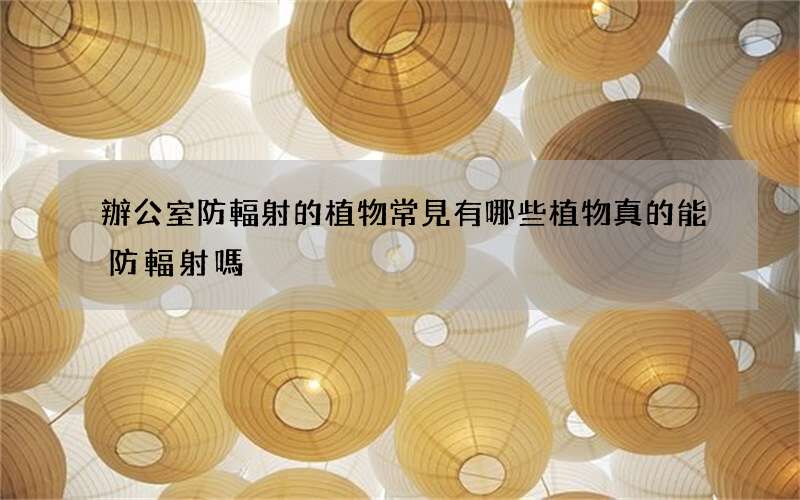 辦公室防輻射的植物常見有哪些 植物真的能防輻射嗎