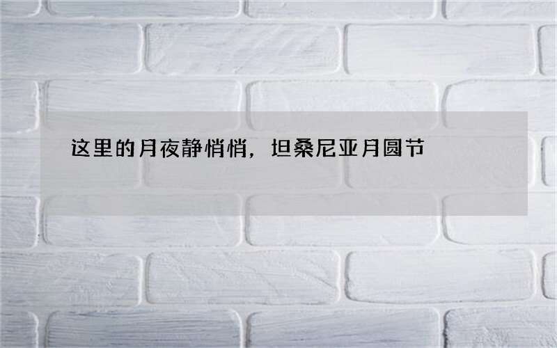 这里的月夜静悄悄，坦桑尼亚月圆节