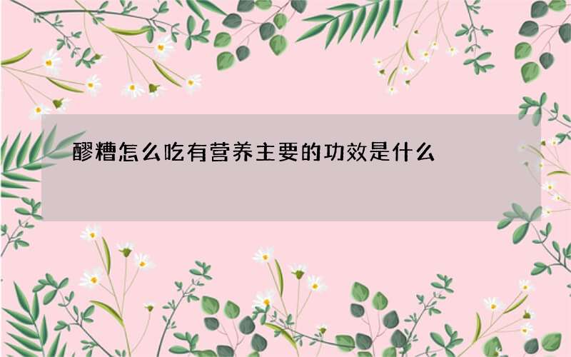 醪糟怎么吃有营养 主要的功效是什么