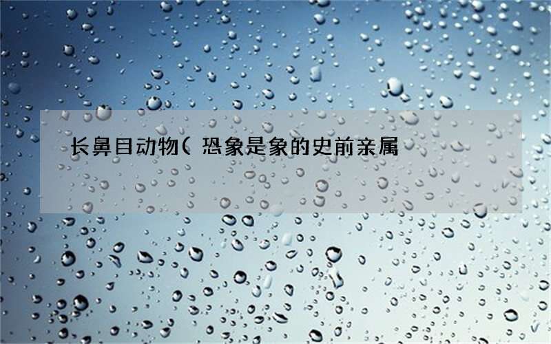 恐象是象的史前亲属 长鼻目动物