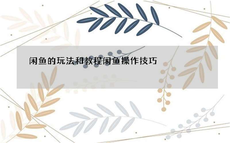 闲鱼的玩法和教程 闲鱼操作技巧