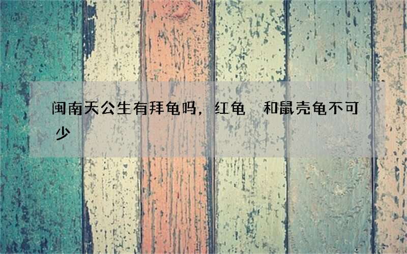 闽南天公生有拜龟吗，红龟粿和鼠壳龟不可少