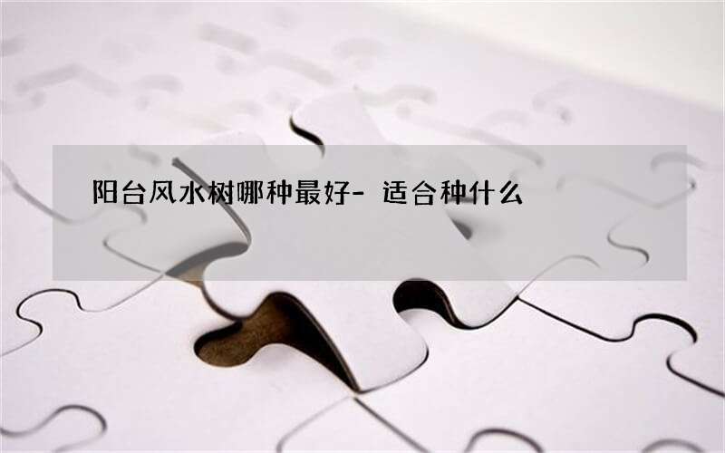 阳台风水树哪种最好-适合种什么