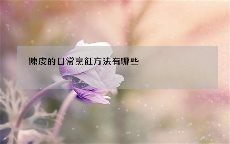 陳皮的日常烹飪方法有哪些