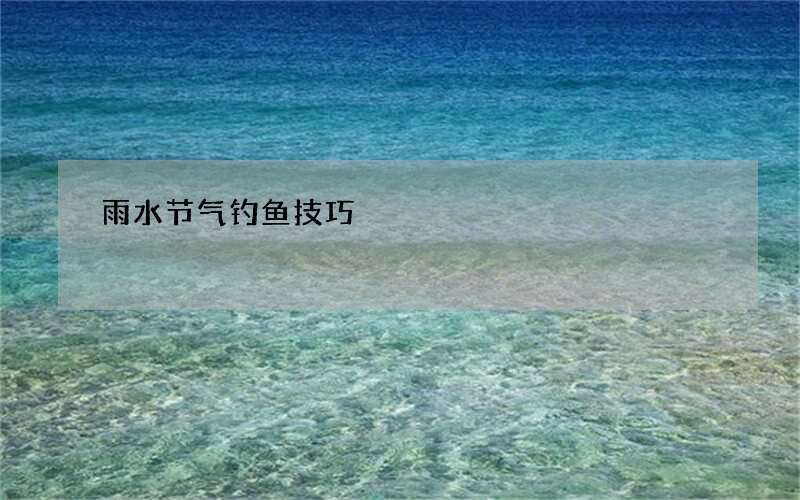 雨水节气钓鱼技巧