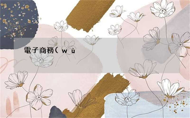 電子商務(wù)網(wǎng)店運營推廣方案 電子商務(wù)推廣