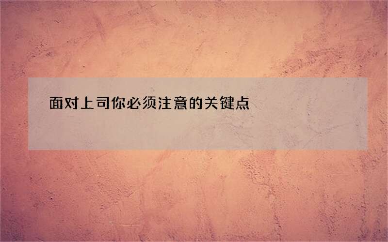 面对上司你必须注意的关键点