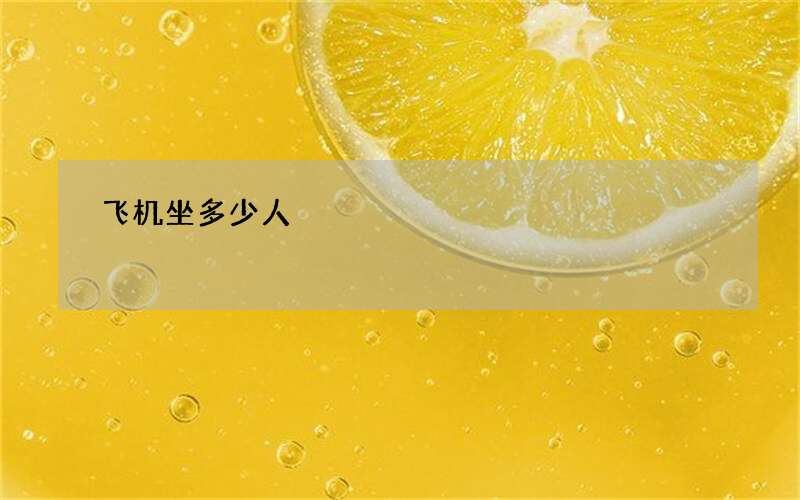 飞机坐多少人
