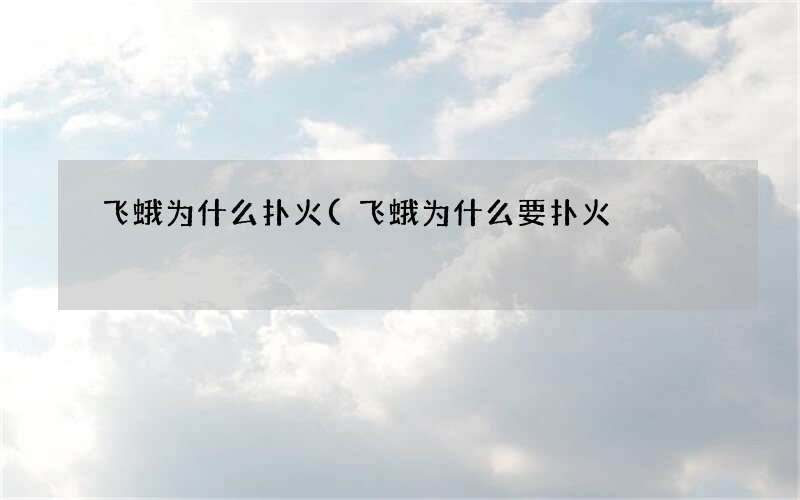 飞蛾为什么要扑火 飞蛾为什么扑火