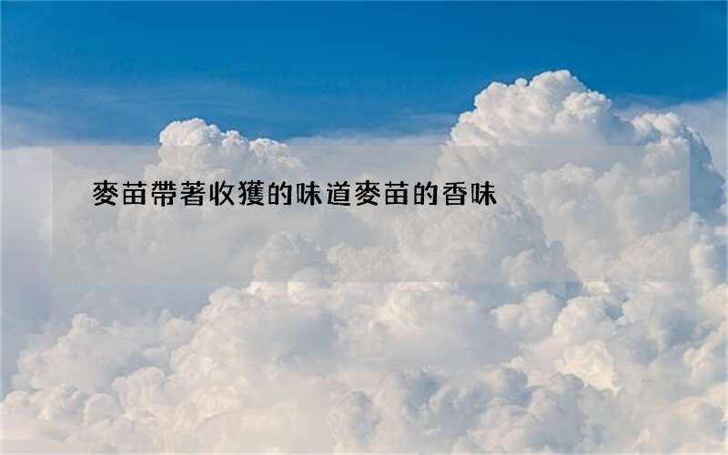 麥苗帶著收獲的味道 麥苗的香味