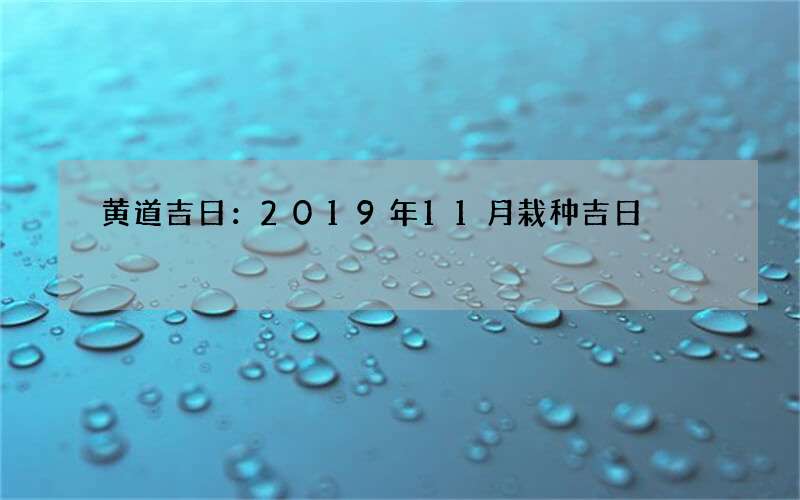 黄道吉日：2019年11月栽种吉日