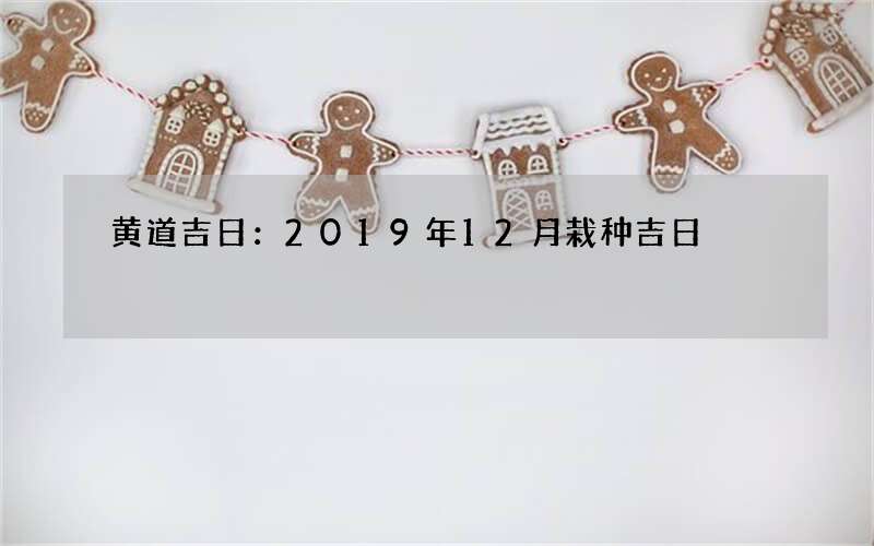 黄道吉日：2019年12月栽种吉日