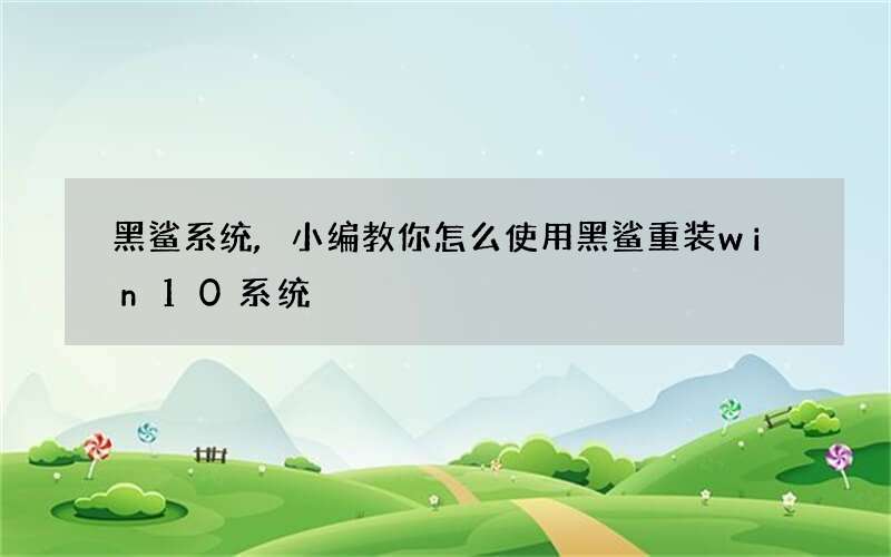 黑鲨系统,小编教你怎么使用黑鲨重装win10系统