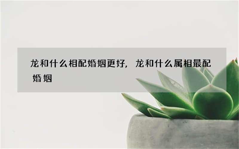 龙和什么相配婚姻更好,龙和什么属相最配婚姻