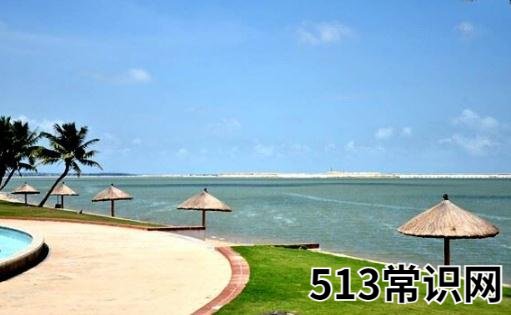 西海岸这个梗什么意思 抖音西海岸是什么意思