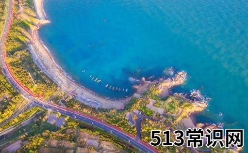 西海岸这个梗什么意思 抖音西海岸是什么意思