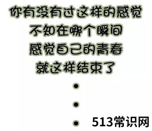 爷青结的梗是什么意思?爷的青春结束了的意思