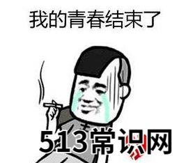 爷青结的梗是什么意思?爷的青春结束了的意思