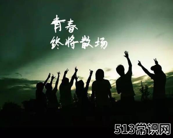 爷青结的梗是什么意思?爷的青春结束了的意思