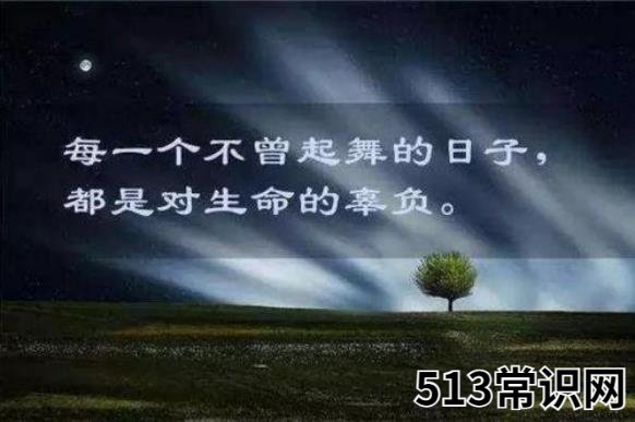 爷青结的梗是什么意思?爷的青春结束了的意思