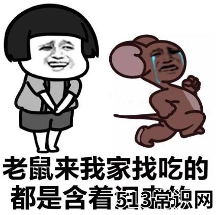 下水道女孩是什么意思什么梗 吐槽自己比贫民窟女孩还要穷惨