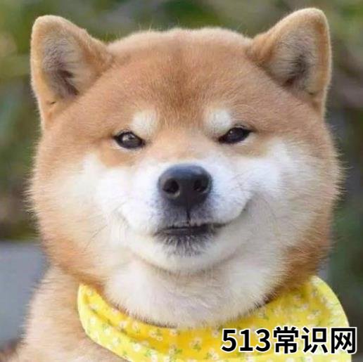 可盐可甜是什么意思?可盐可甜是形容男生还是女生的?
