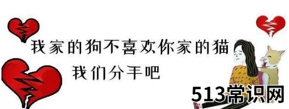 说女的沙是什么意思 分手说沙是什么意思 分手的常见理由