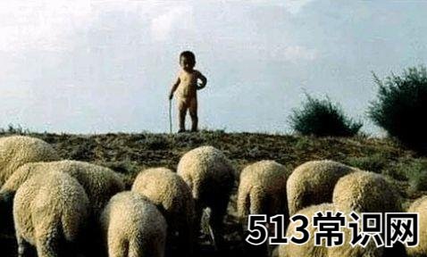 传说中的“UC震惊部”是什么意思什么梗 欢迎你明天到UC震惊部上班