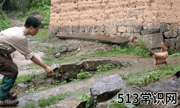 传说中的“UC震惊部”是什么意思什么梗 欢迎你明天到UC震惊部上班